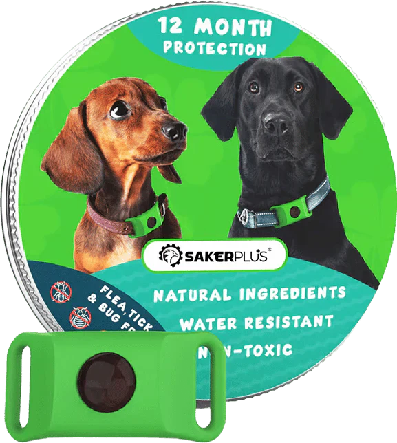 12-Month Flea & Tick Repellent Pendant for Dogs | All-Natural, Waterproof, Chemical-Free