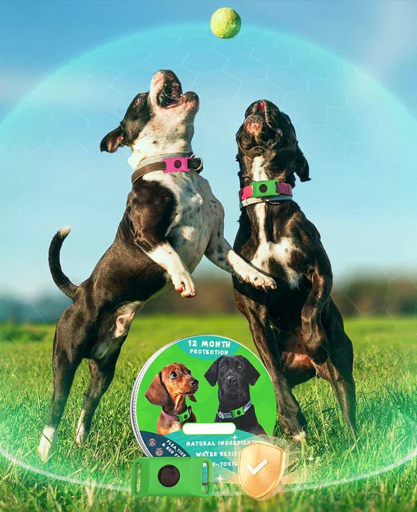 12-Month Flea & Tick Repellent Pendant for Dogs | All-Natural, Waterproof, Chemical-Free