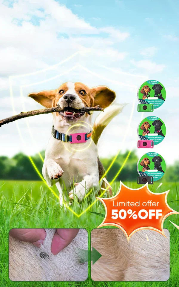 12-Month Flea & Tick Repellent Pendant for Dogs | All-Natural, Waterproof, Chemical-Free