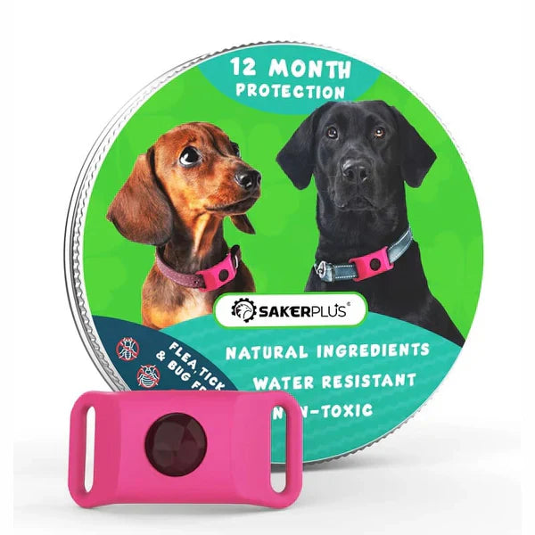 12-Month Flea & Tick Repellent Pendant for Dogs | All-Natural, Waterproof, Chemical-Free